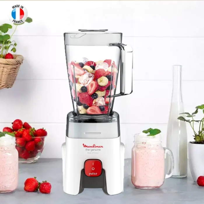 خلاط مولينكس 500 واط مع 500 واط LM240B25