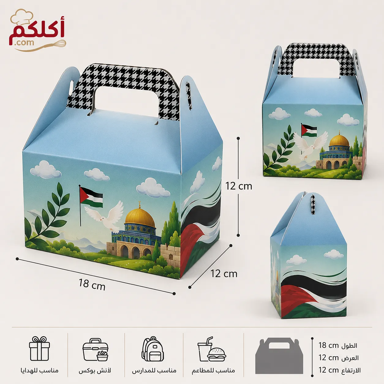 حقيبة بطابع فلسطيني