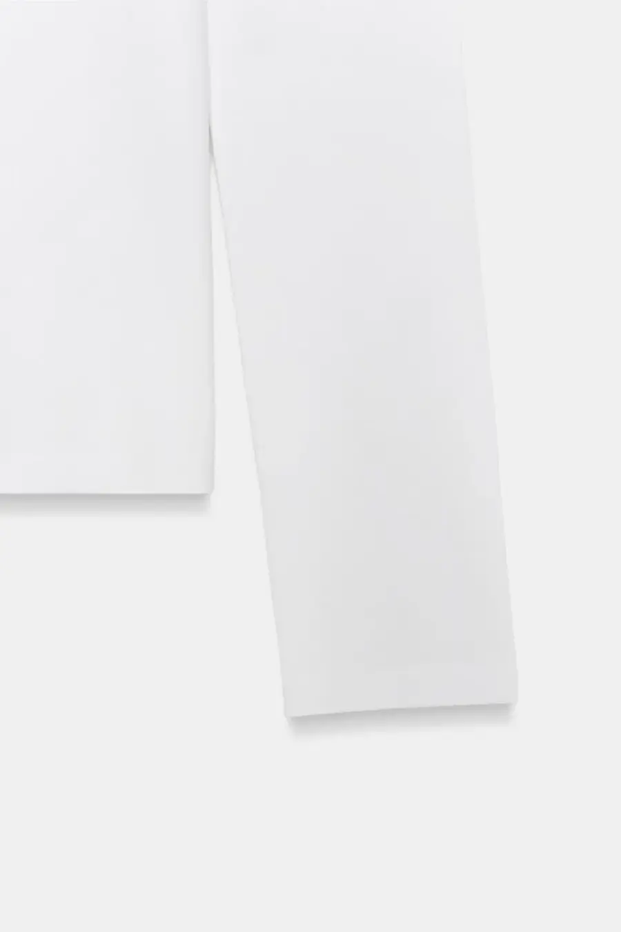 BASIC COTTON T-SHIRT