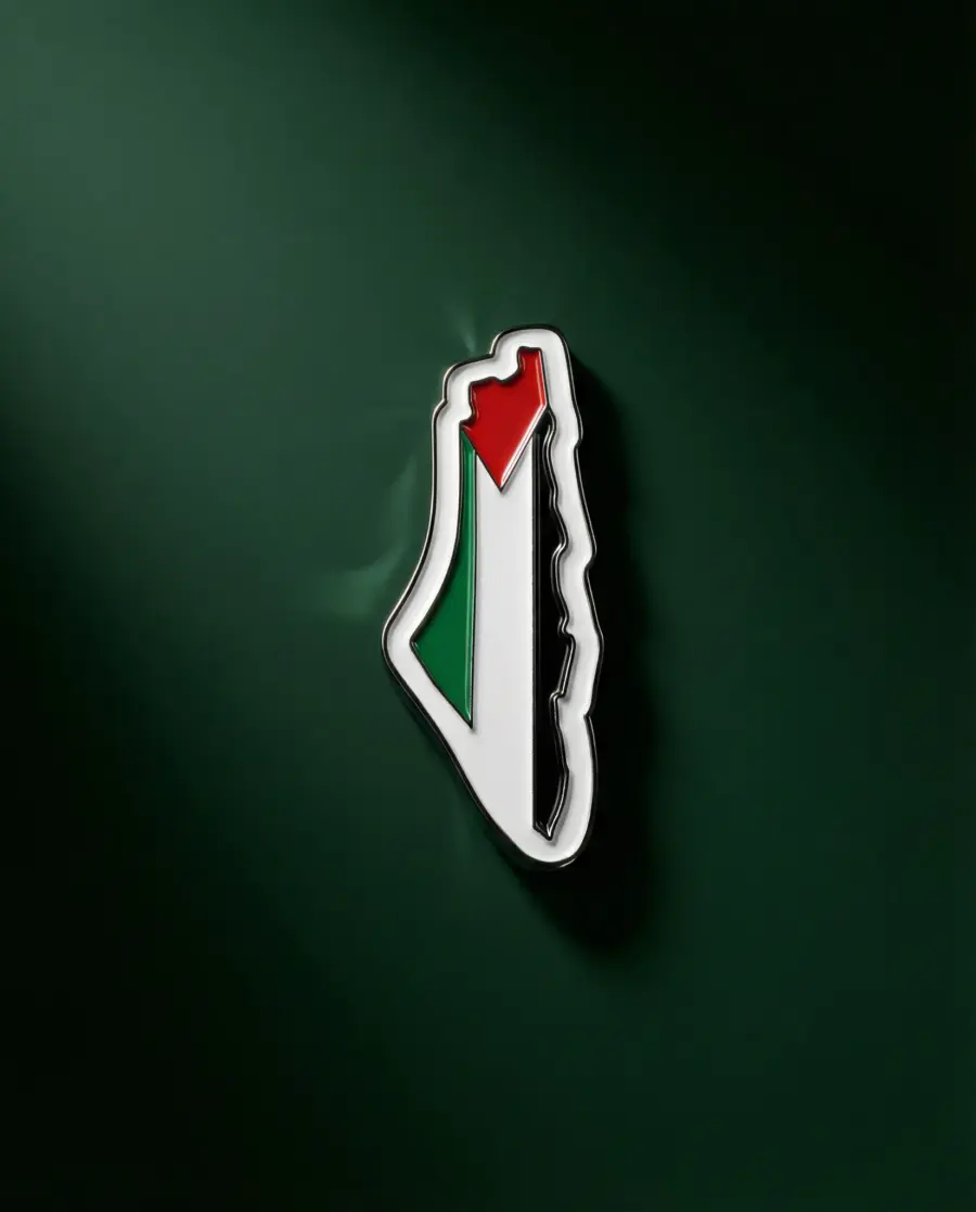 خارطة فلسطين