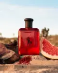 Polo Red Ralph Lauren