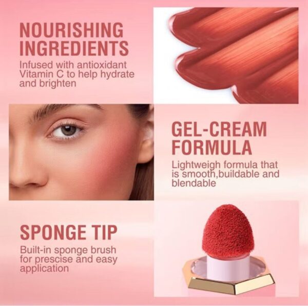 VINCINER Waterproof Liquid Blush Stick