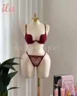 BRA برغندي ترندي