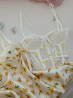 كورسيه عباد شمس