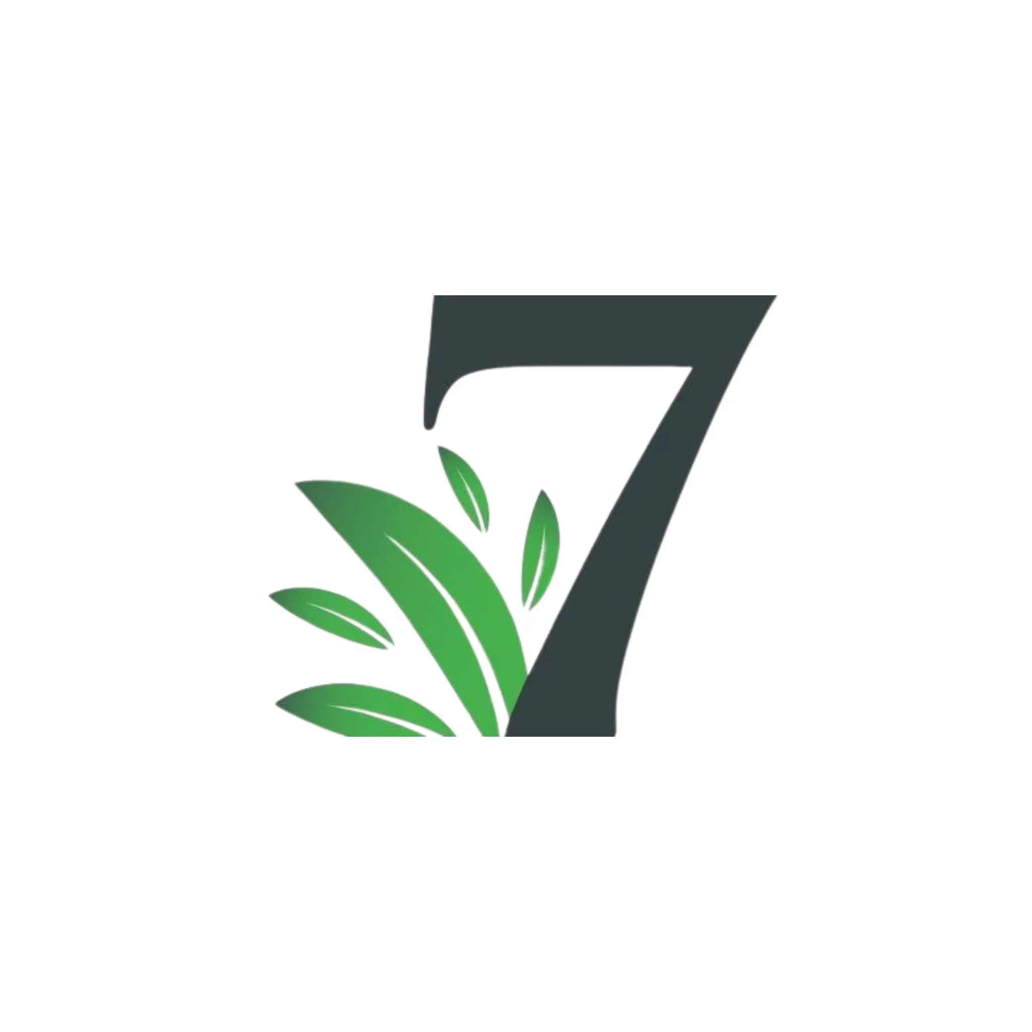 product-84.webp