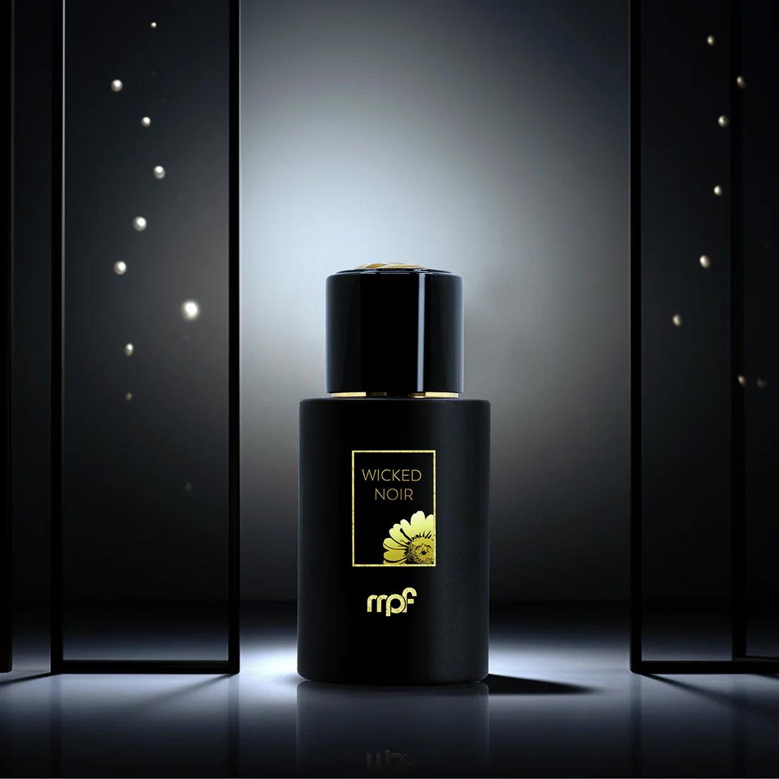 product-wickednoir_1_1100x.webp