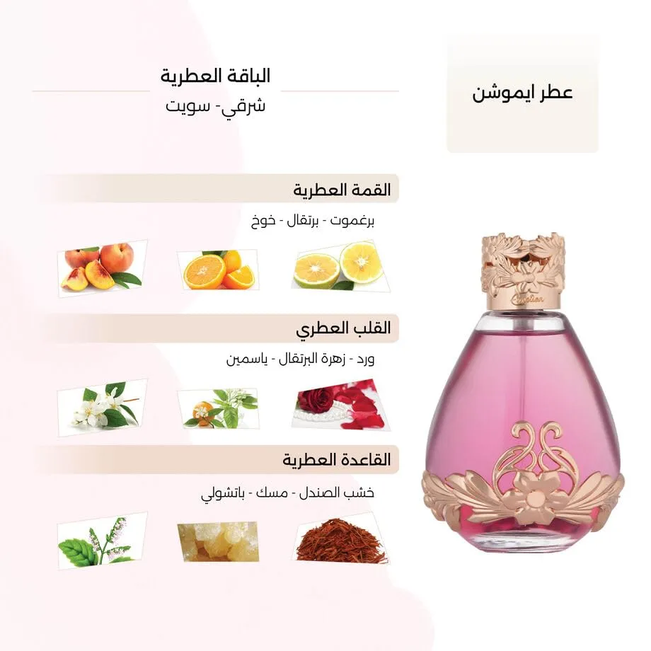 product-51Q4+n0nBJL.webp