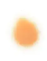 Flormar Perfect Legs Foundation