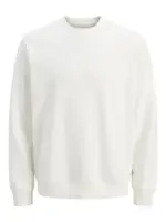 JPRCCMATEO SWEAT CREW NECK