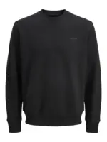 JPRCCMATEO SWEAT CREW NECK