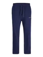 JPSTKANE NORREBRO SWEAT PANTS NOOS