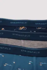 Pack of 3 boxer vehicles