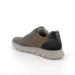 MAN - Sneakers - IGI & CO