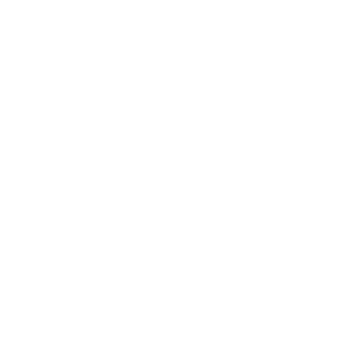 saad-store.net