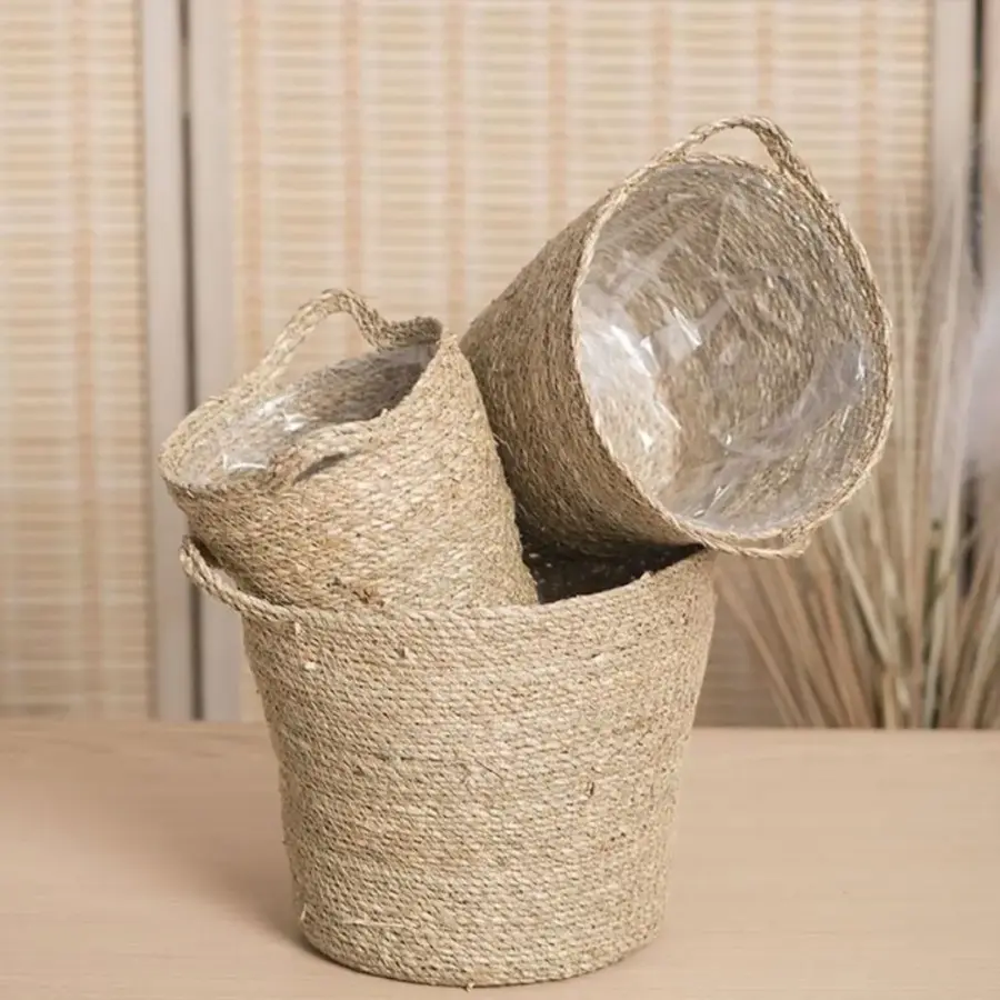 product-6483 (2).webp