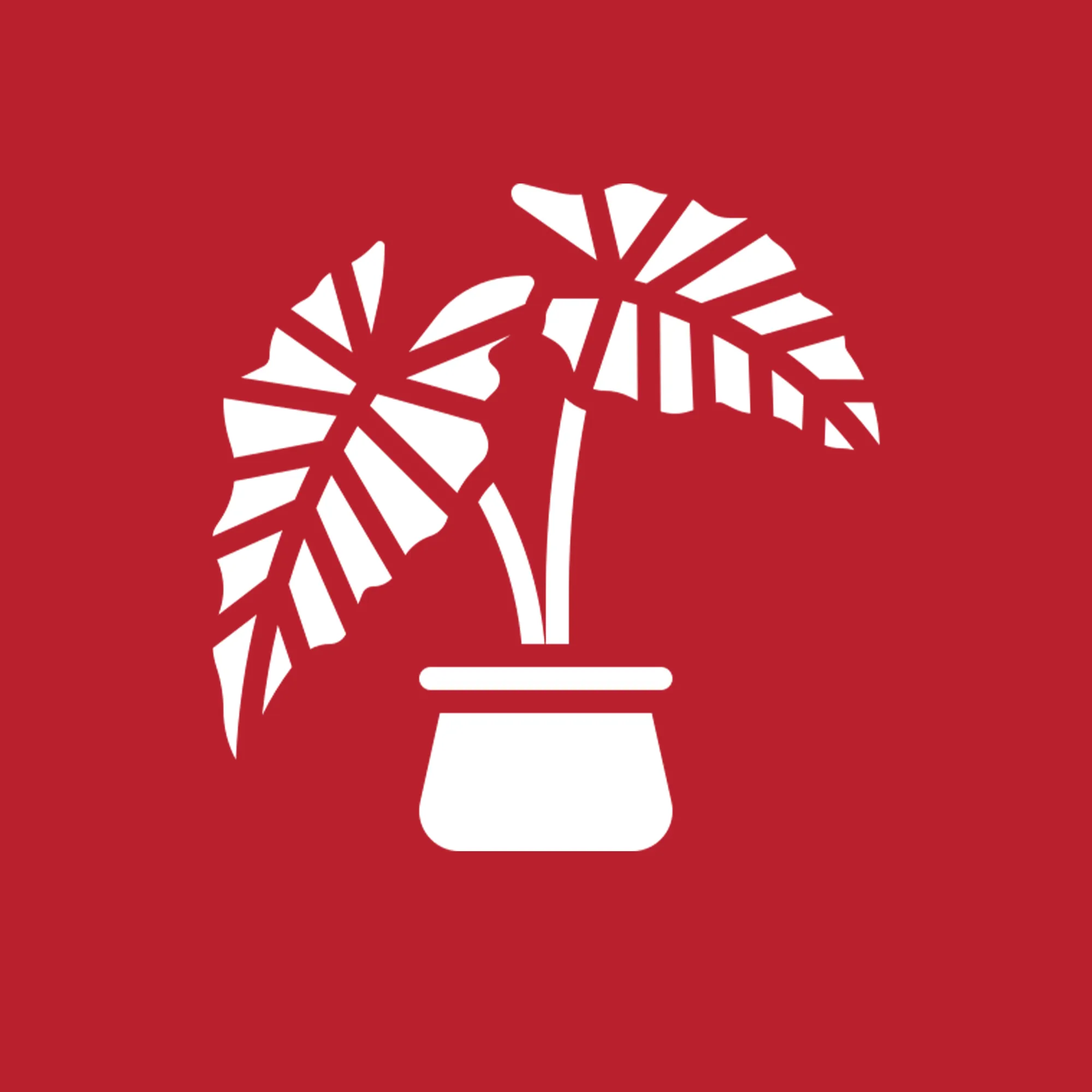 product-╪┤╪¼╪▒-╪╡┘å╪º╪╣┘è.webp