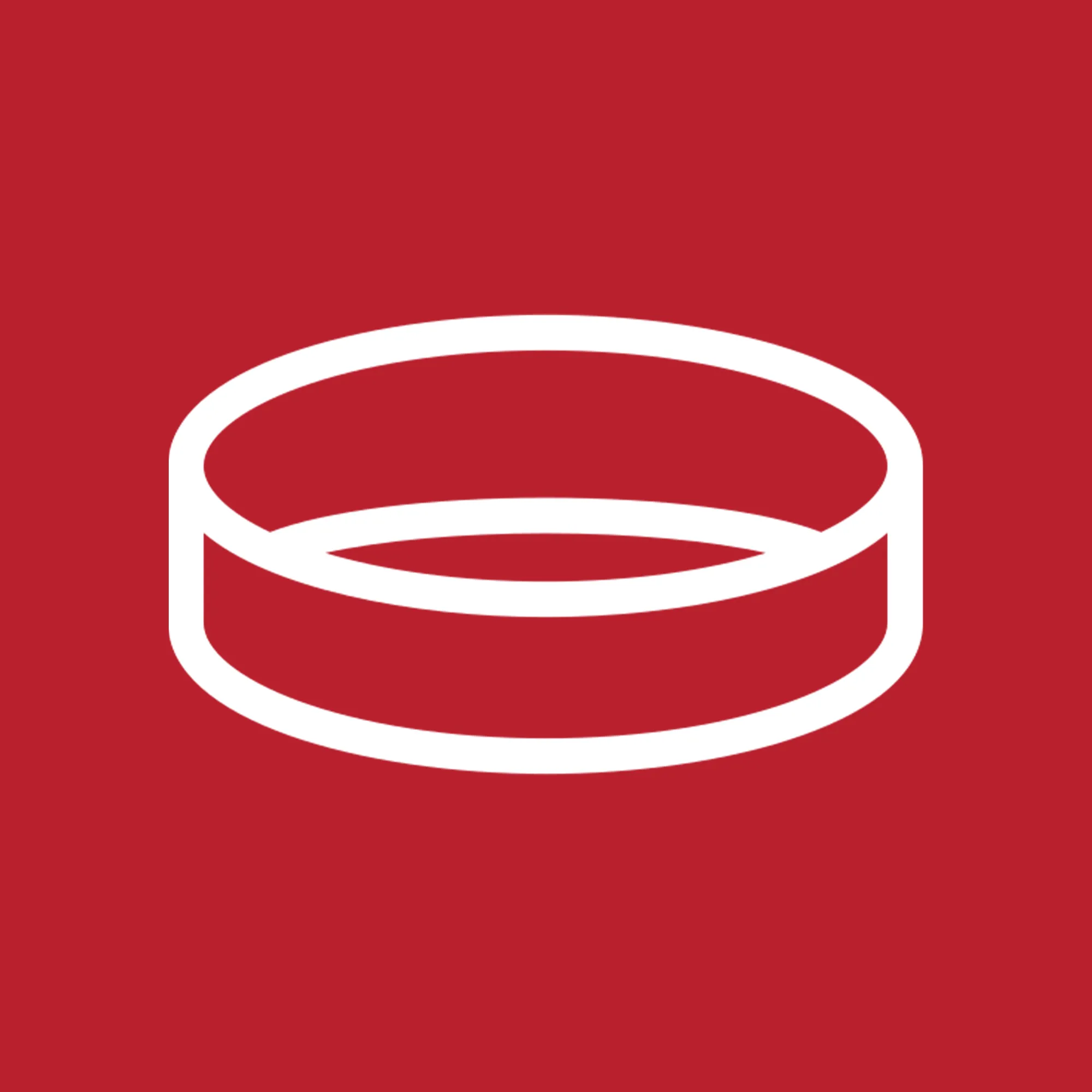 product-╪¼╪º╪╖╪º╪¬-┘ê╪╡┘ê╪º┘å┘è.webp